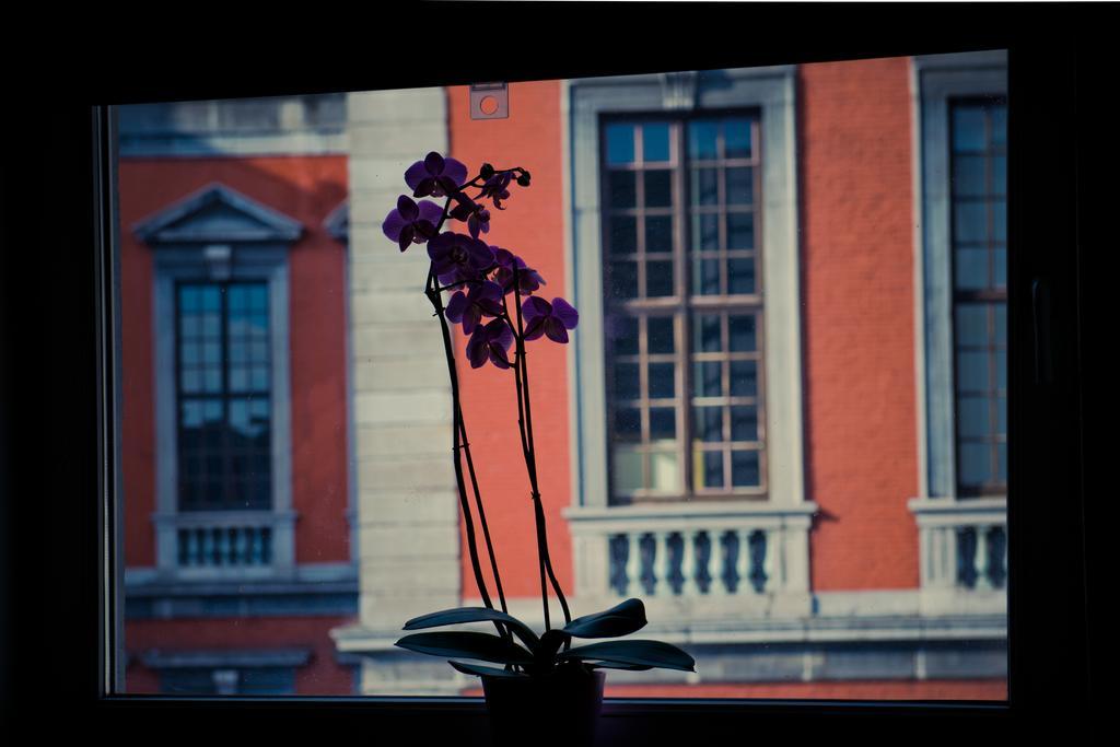 Appart-Hotel Leopold Liege Centre 객실 사진